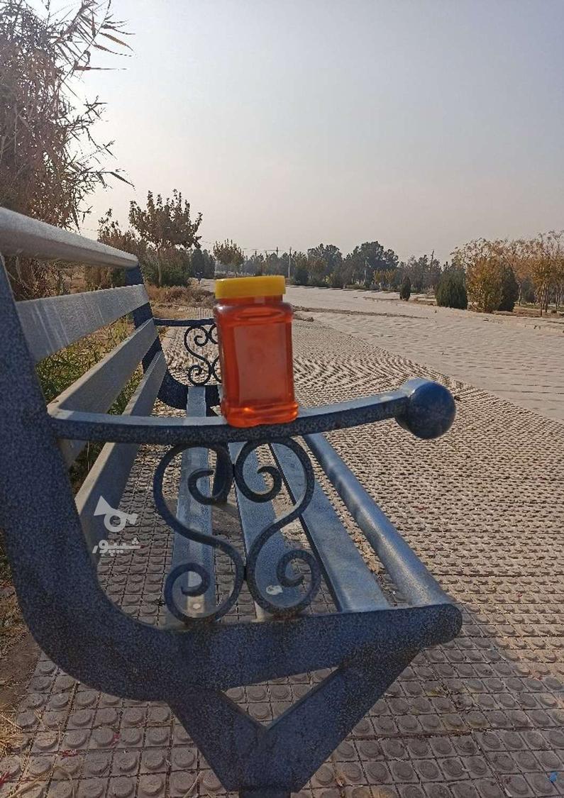 عسل به شرط در صورت نپسندیدند مرجوع می‌شود