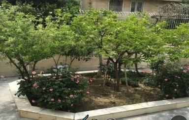 خوابگاه دخترانه