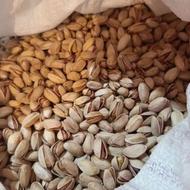 پسته تازه امسالی