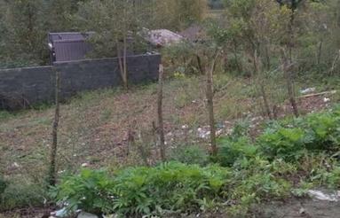 293متر زمین مسکونی امتیازات آب برق گاز ویوعالی