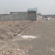 زمین باغی درجاده کاهو 1150مترتک برگ سند