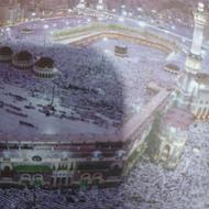 فیش حج عمره مفرده