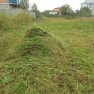 علف تراشی.خاک باغچه.سم پاشی.حمل نخاله