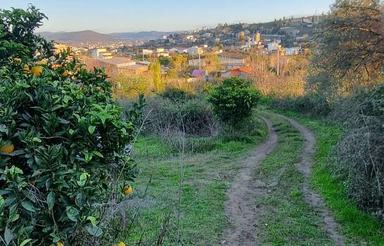 زمین 92 متری درمهدشت