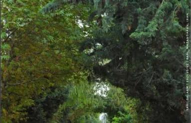 فروش و مشارکت زمین بر اصلی لسانی