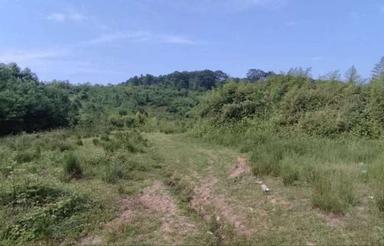 زمین3200متری گردشگری در 3 کیلومتری لاهیجان