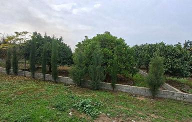 فروش زمین مسکونی 210 متر کنار دریا لاریم‌