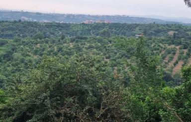 زمین ویلایی