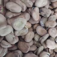 فروش باقلا و بذر گندم