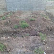 آبهر شریف اباد