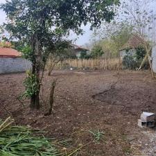 فروش فوری زمین مسکونی با شرایط عالی 