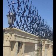 حفاظ شاخ گوزنی ار ابعاد مختلف