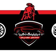 دیتیلینگ ذکریا