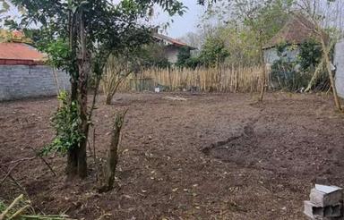 فروش زمین مسکونی 330 متر در محدوده نالکیاشهر