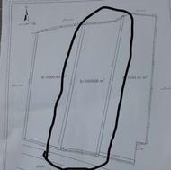 زمین کشاورز لب خیابان