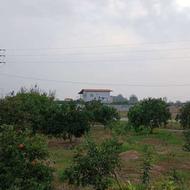 فروش زمین مسکونی 600 متر در جاده ساری بابلسر