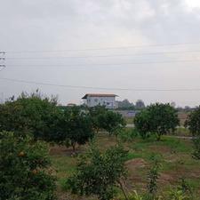 فروش زمین مسکونی 600 متر در جاده ساری بابلسر