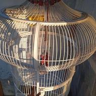 قفس سالم بزرگ ارتفاع 180 در عرض 70