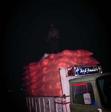 خریدو فروش کاه گندم