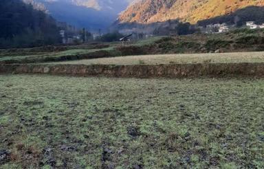 فروش زمین ویلا در گیلان ماسال