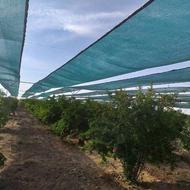 «توری سایبان شمال» مقاومترین تور سایبان اقتصادی نور آمل