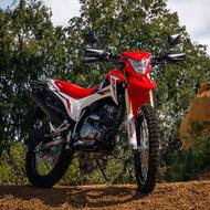 فرات نیوفیس 1401