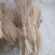 جاروی‌خانه وحیاط