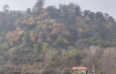 فروش فوری200 تا 250 متر زمین کوهپایه ای