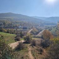 زمین هزار متری قیمت کل زدم واقع در نوشهر کدیر