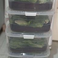 با حلزون کار در منزل شغل خانگی کاردرمنزل پرسود