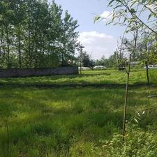 اخذ جواز وسند برای زمین