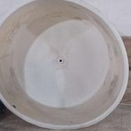 وان پرورش ماهی کپور ویا قزلآلا