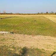 فروش زمین کشاورزی