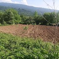 فروش زمین کشاورزی در روستای بندبنی دو هزار متری داخل محل