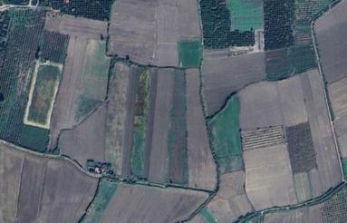 زمین کشاورزی