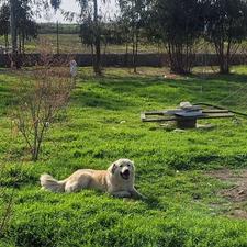 فروش زمین مسکونی 150 متر در راهبند شهید فهمیده