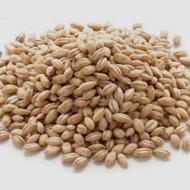 کشاورزی باکودضمانتی