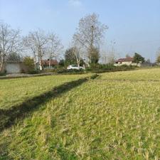 فروش زمین کشاورزی 15000 متر در سروندان