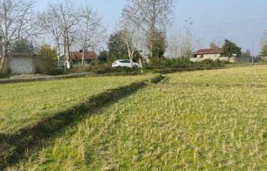 فروش زمین کشاورزی 15000 متر در سروندان