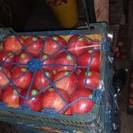 سیب قرمز و زرد