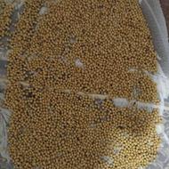 فروش سبزی یا ککج محلی بلوش برای زیتون هیل اسفناج