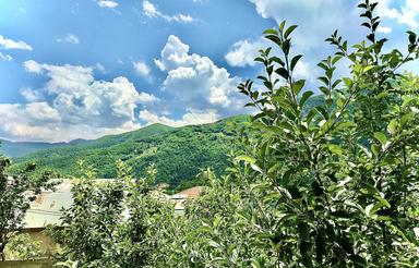 252متر زمین ییلاقی واقع در سوادکوه