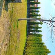 450 متر زمین مسکونی با بهترین لوکیشن