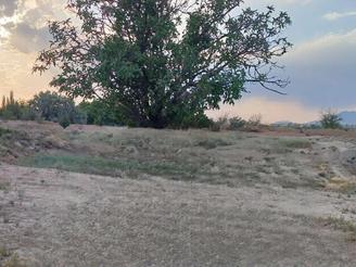 ملک زراعی اسفید واجان