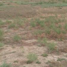 فروش زمین مسکونی تجاری