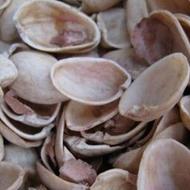 پوست پسته جهت کارخانها کنسانتره و...