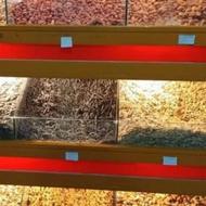 استندااجیل