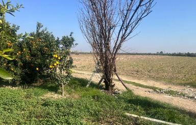 فروش زمین کشاورزی 4800 متر در مرکز شهر