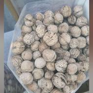 گردو محلی کردستان