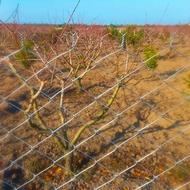 فنس پایه نصب